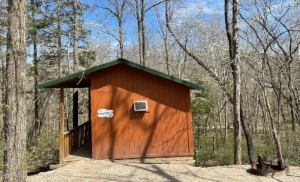 walnut cabin